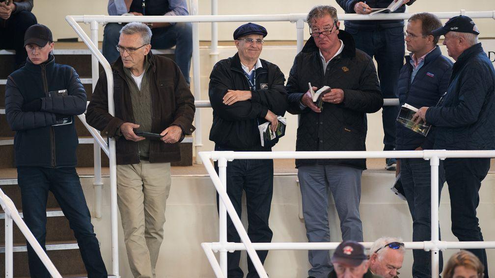 Eyeing the next big buy: team Coolmore on the lookout for new talent