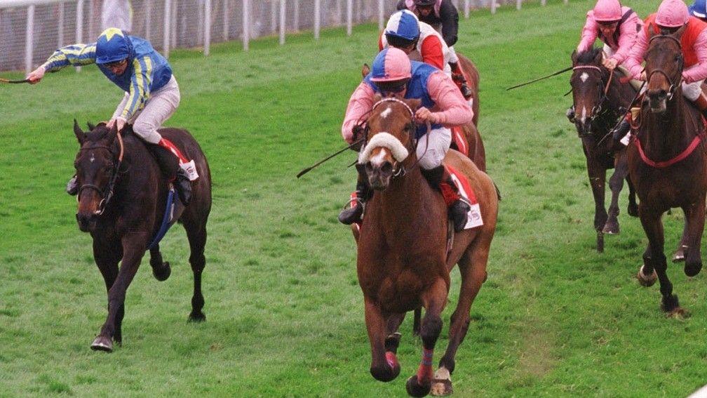 Silence In Court (noseband) and Allan Mackay win the 1998 Chester Cup