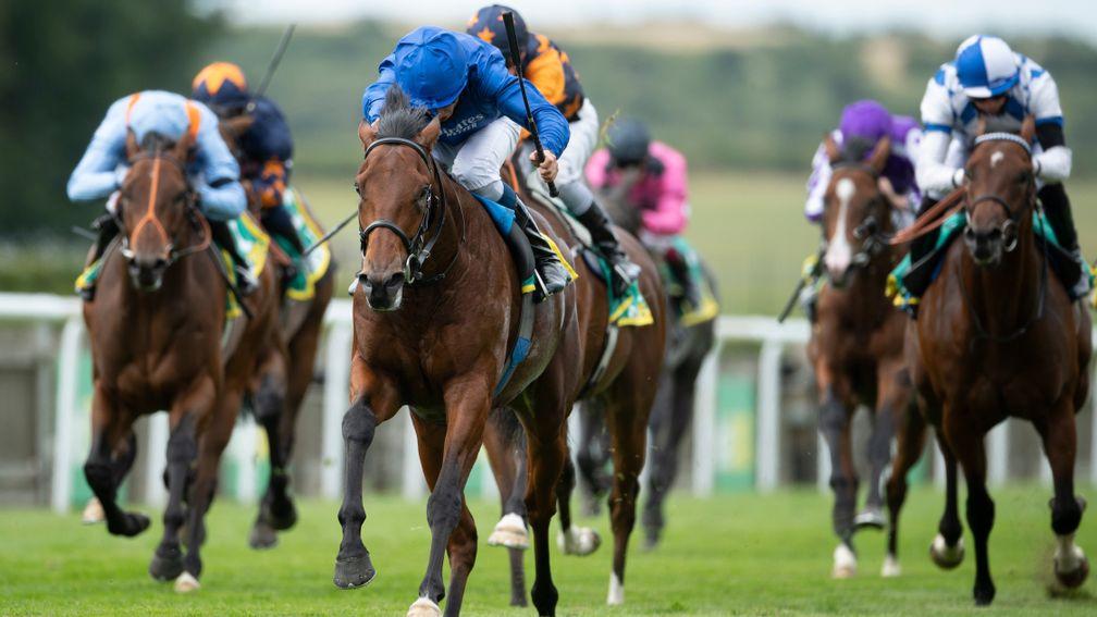 Master Of The Seas storms to victory in the  Superlative Stakes at Newmarket