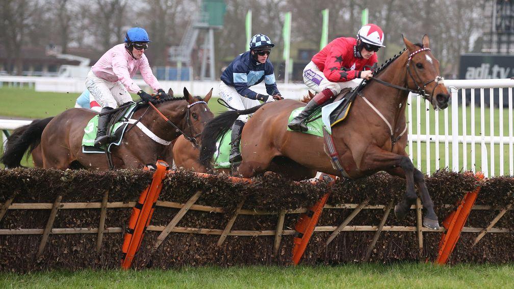 The New One: has made Haydock's Champion Hurdle trial his own in recent years