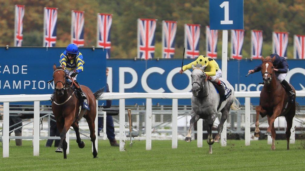 Trueshan: short-priced favourite for the Goodwood Cup after Stradivarius was taken out