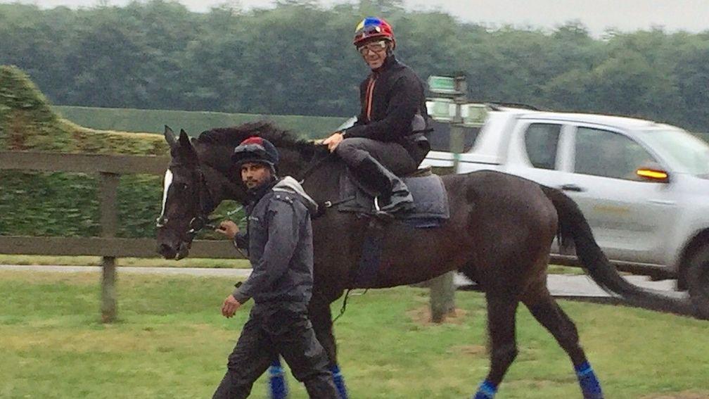 Frankie Dettori is reunited with Shutter Speed on the Newmarket gallops on Wednesday