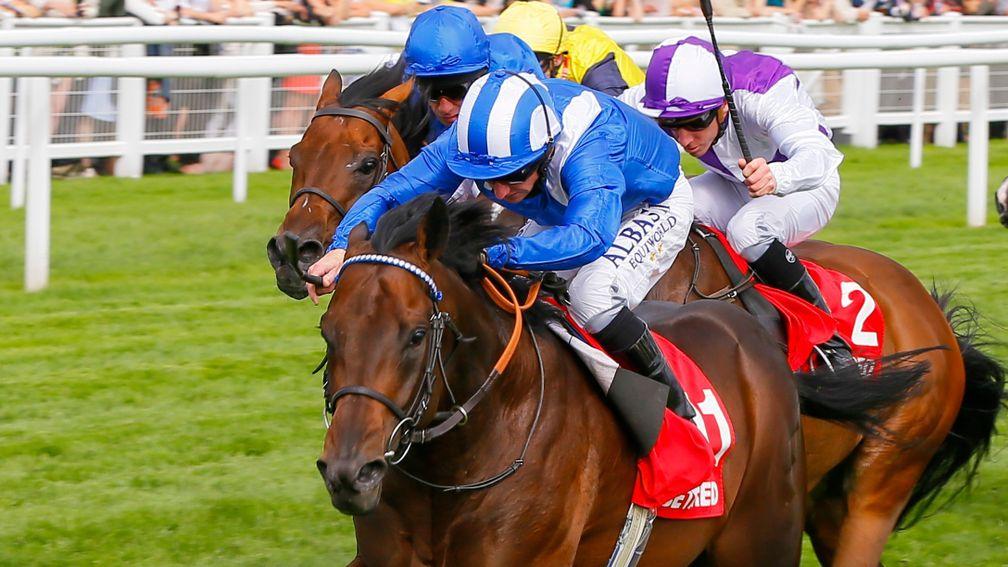 Adaay: can make the journey to Ireland for the Minstrel Stakes worthwhile