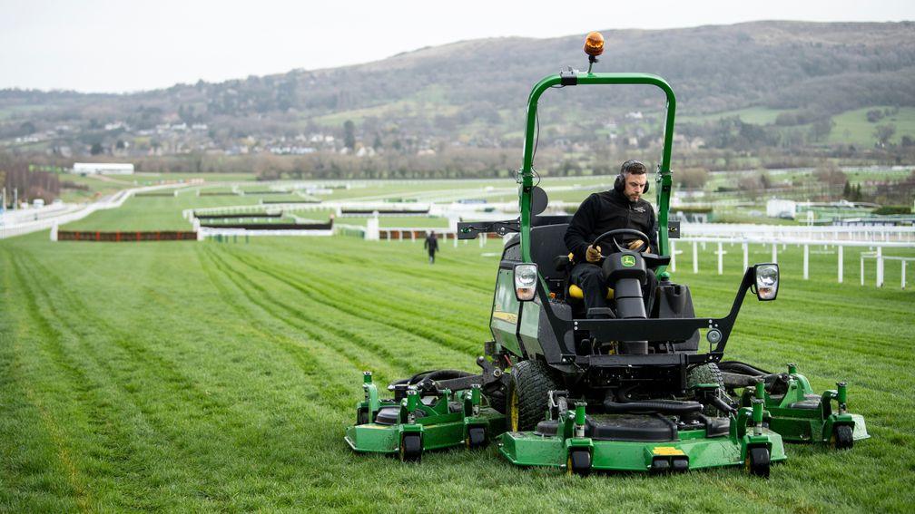 Cheltenham's hurdle and chase courses are predominantly soft