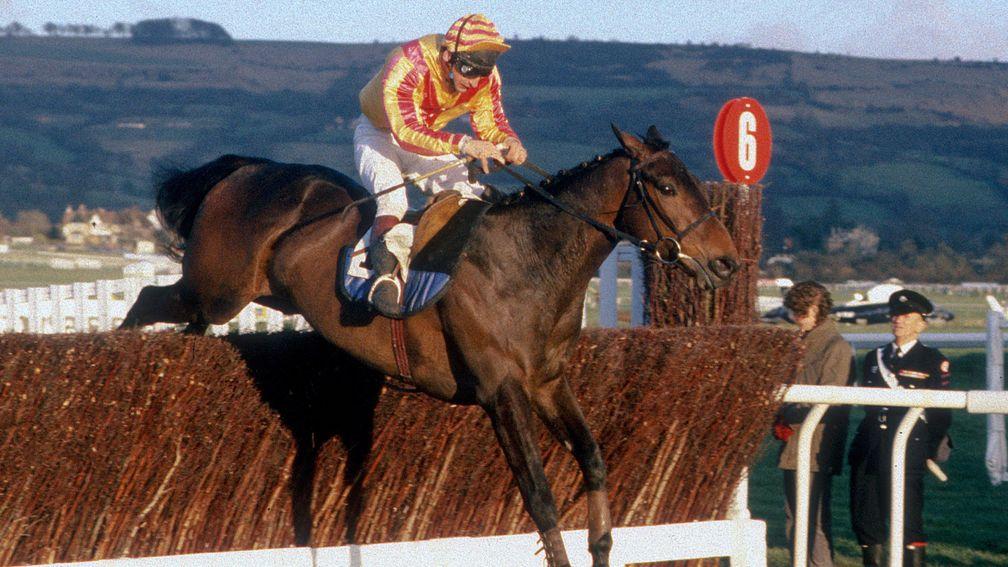 Vodkatini is on a going day as he lands the 1988 Grand Annual Chase at the Cheltenham Festival