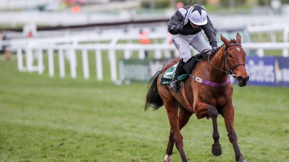 Colm Murphy on Relegate: 'She owed us nothing. Relegate has been a fantastic mare for Paul, highlighted by her victory in the Champion Bumper a couple of seasons ago.'