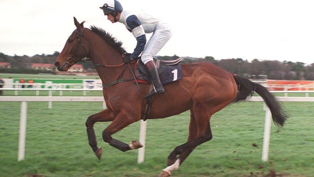 Blast from the past: Alexander Banquet and Ruby Walsh canter down to the start at Leopardstown