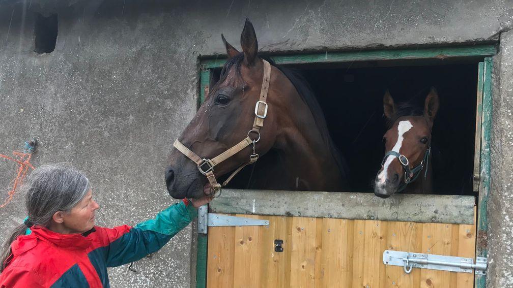 Grania Barrett with Kerrys Cottage and her inquisitive Diamond Boy filly