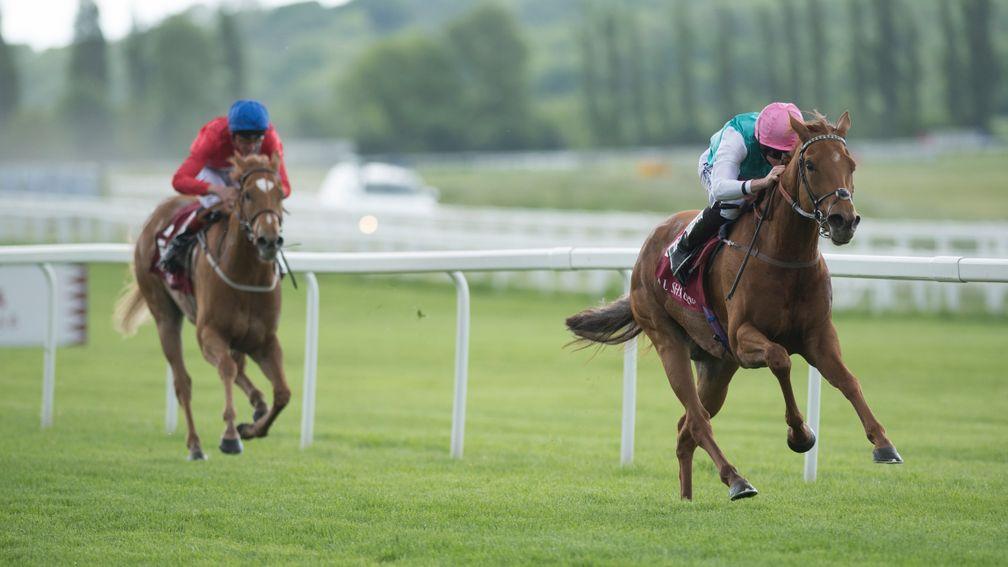 Natavia: wins the Listed Haras de Bouquetot Fillies' Trial Stakes at Newbury