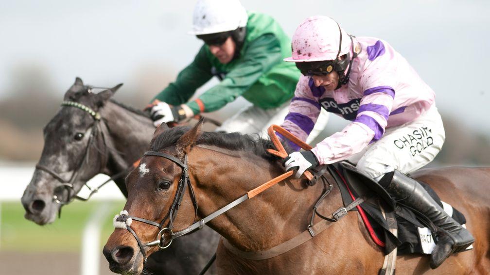 Zarkandar burst onto the scene in the 2011 Adonis Hurdle for trainer Paul Nicholls before going on to Cheltenham Festival glory the following month. Will it be more of the same with Solo on Saturday?