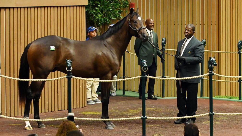 The Medaglia D'Oro colt out of Grade 1 heroine Tara's Tango sold for $2.15m