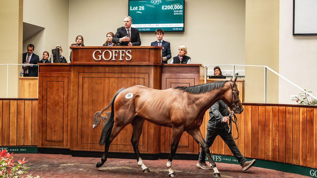 The Kodiac colt out of Luminous Gold who fetched £200,000