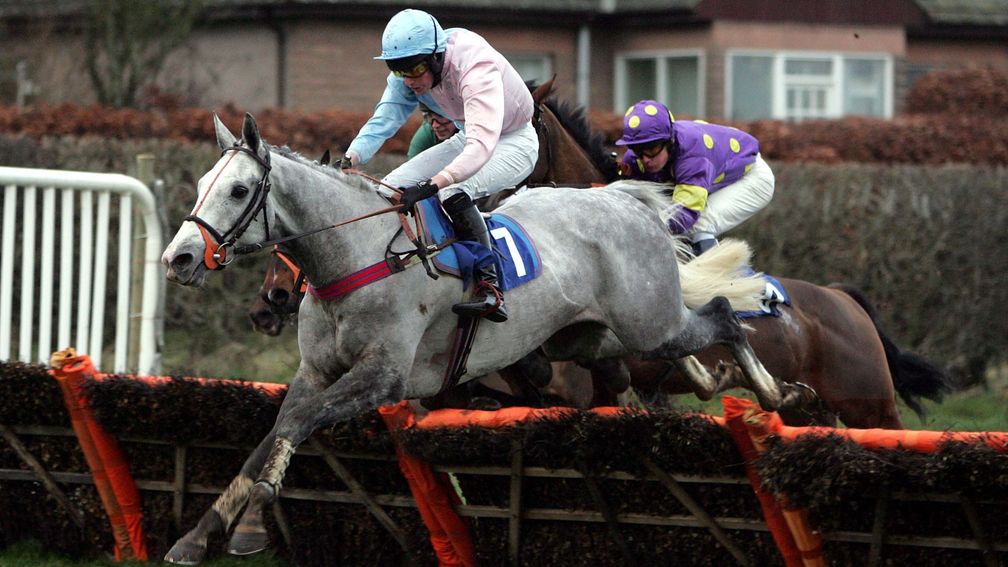 Kimbambo gave James Ewart his first winner as a trainer, in the Morebattle Hurdle at Kelso in 2005
