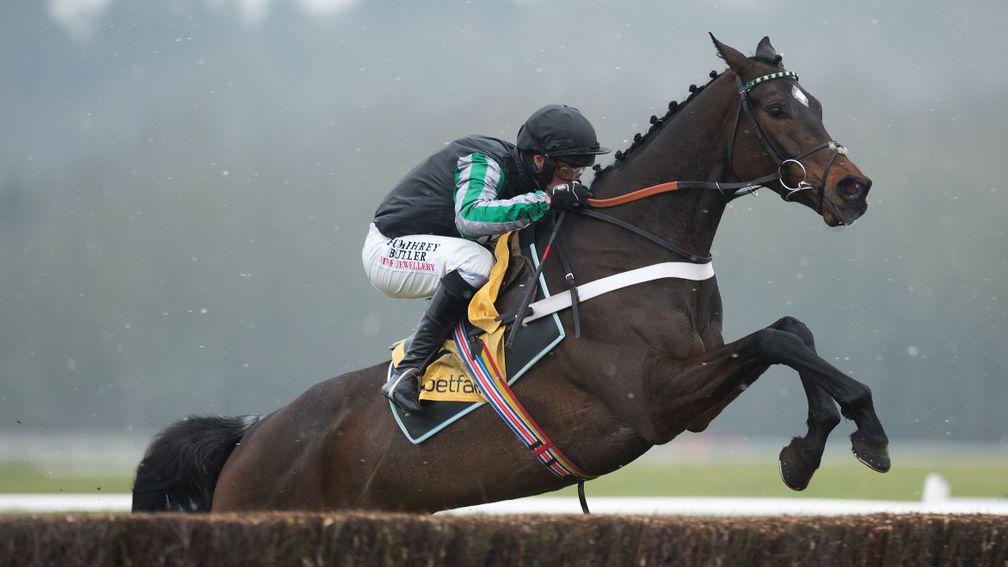 Ready for take-off: Altior looks a readymade replacement for the original black aeroplane, Sprinter Sacre, as he lands the odds in the Game Spirit Chase at Newbury