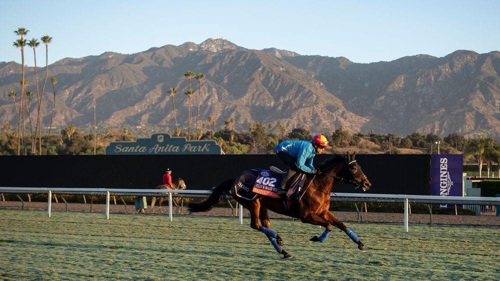 Fanny Logan and Frankie Dettori stride out on the Turf at Santa Anita on Wednesday morning