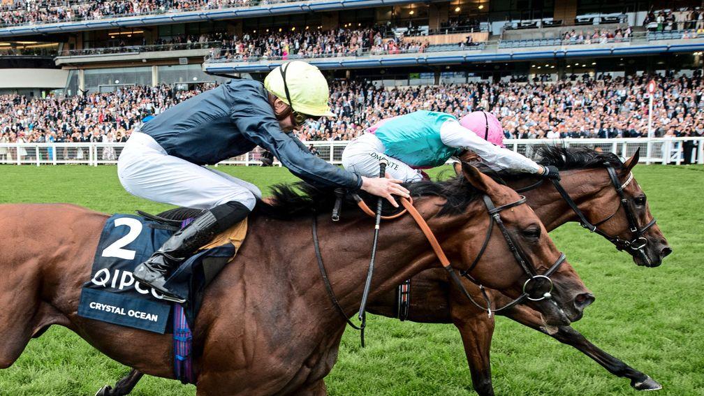 Enable holds off Crystal Ocean in an epic finish to the 2019 King George