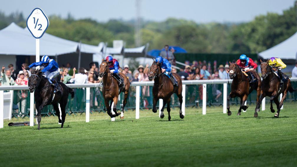 Mostahdaf wins the Prince Of Wales's Stakes from Luxembourg (maroon and blue), Adayar (blue) and My Prospero (yellow)