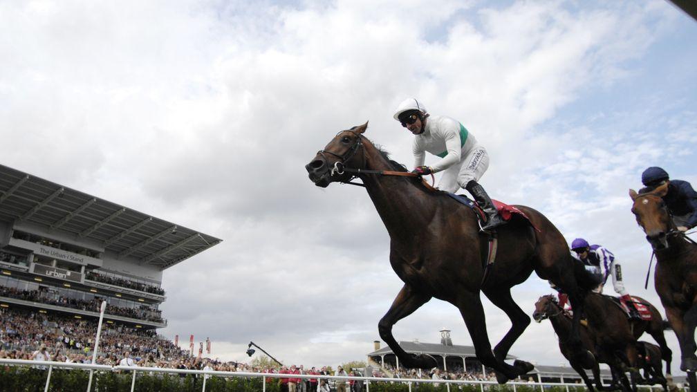 Lucarno's finest hour: landing the 2007 St Leger at Doncaster