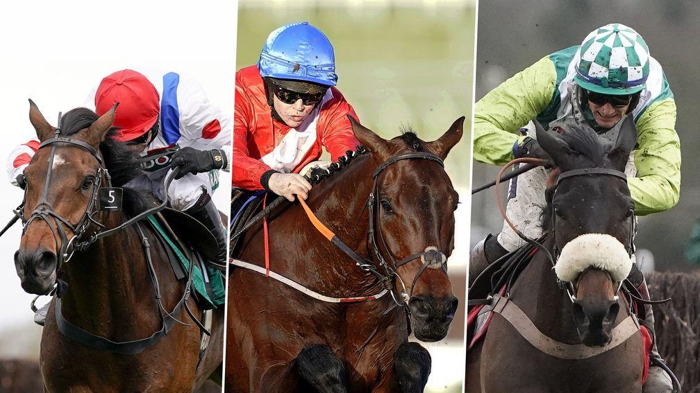 Protektorat (left), A Plus Tard and Clan Des Obeaux: leading players for upcoming chases