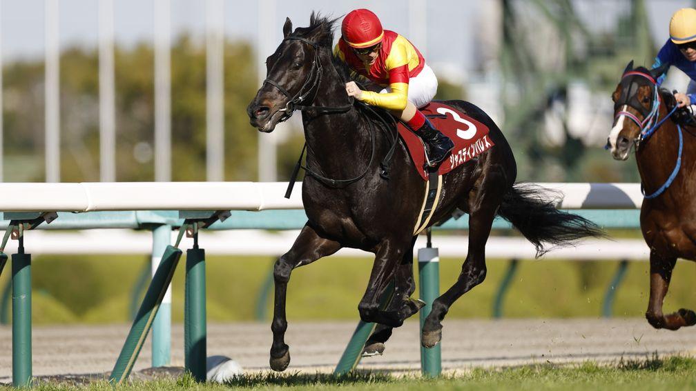 Justin Palace on his way to a win in the Hanshin Daishoten 