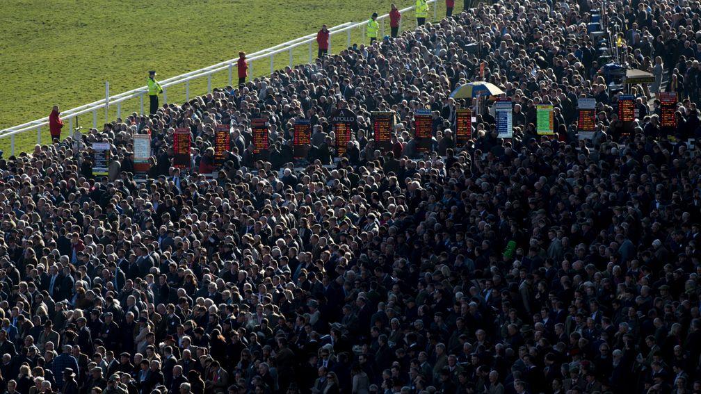 Cheltenham betting ring where punters have had the upper hand so far