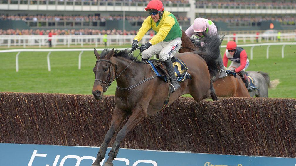Sizing John: found his forte when stepping up to the Gold Cup trip