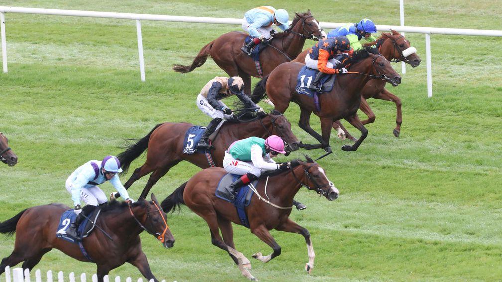 Sacred Bridge (pink hat): class came to the fore at Naas