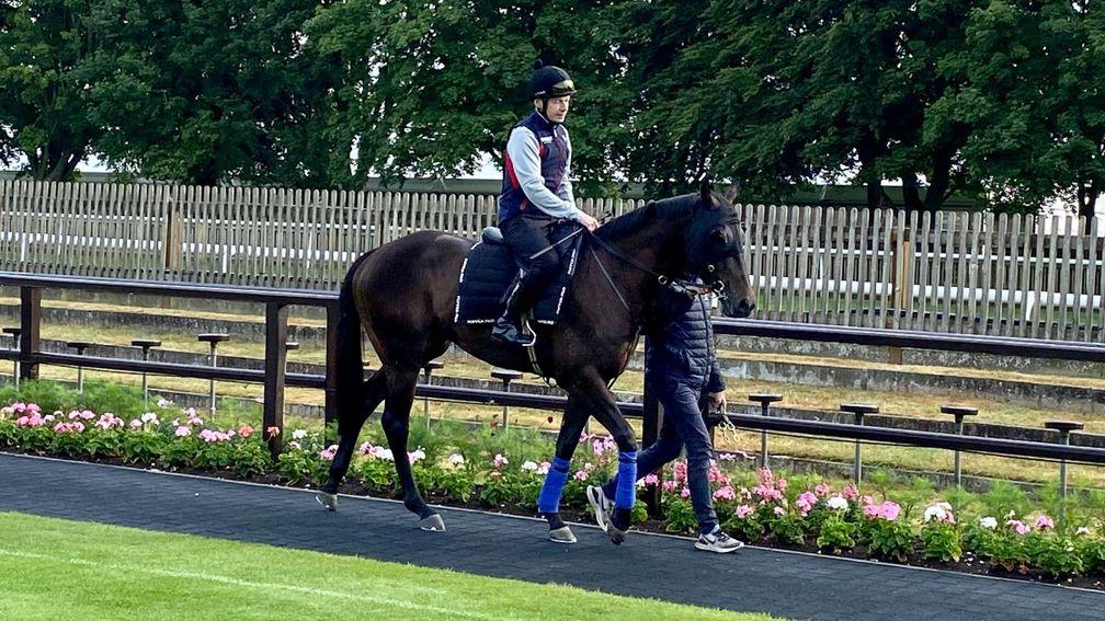 Jamie Spencer and Artorius in the parade ring at the July course prior to their workout on Friday morning