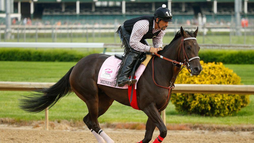 Midnight Bisou: battled hard for another victory at Oaklawn Park