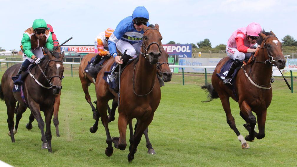 Three-year-old Millie's Kiss mistakenly raced as stablemate Mandarin Princess in a two-year-old event at Yarmouth and won at 50-1