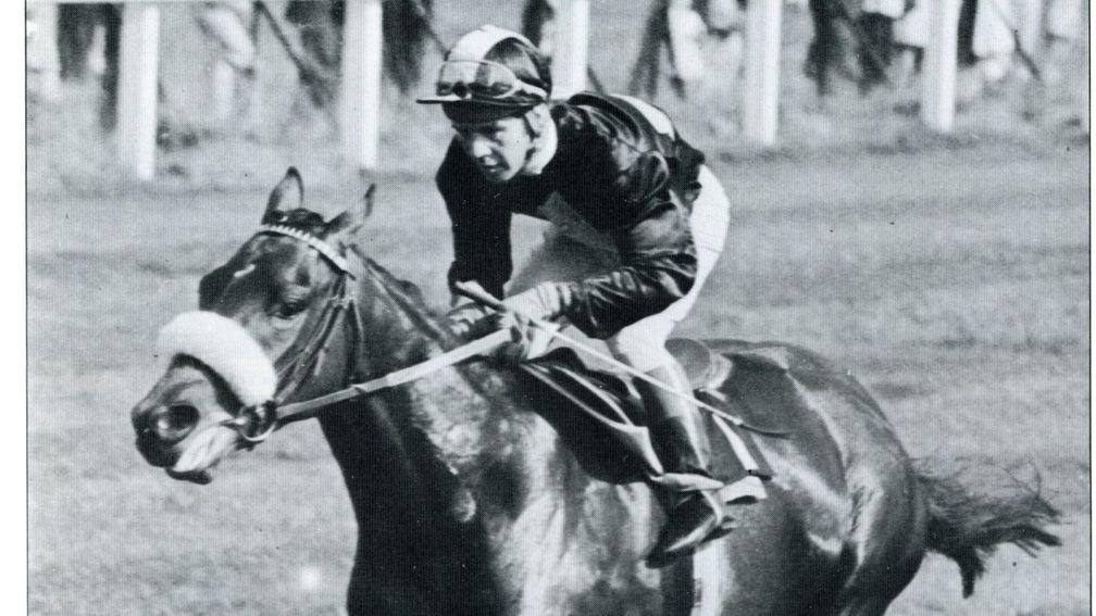 Mill Reef: Ian Balding's star colt won the Greenham in 1971