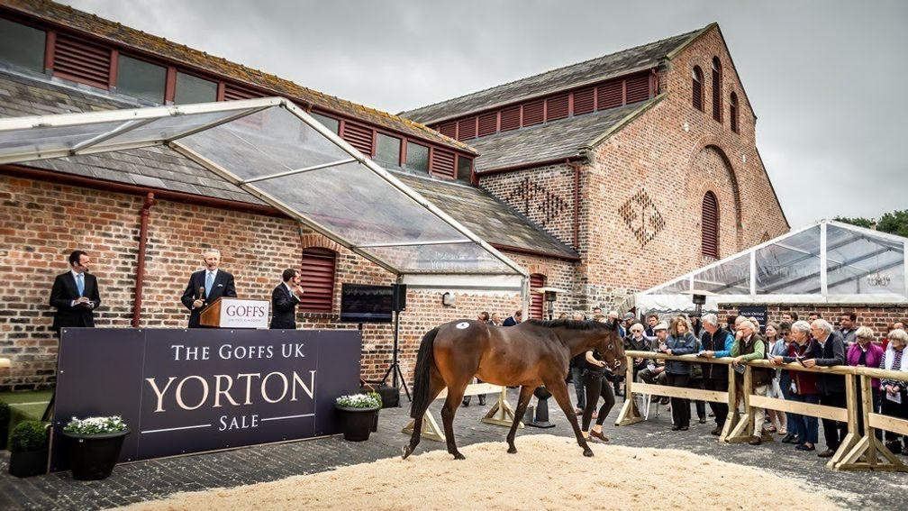 Yorton Farm: provides a bit of welcome variety on the sales circuit