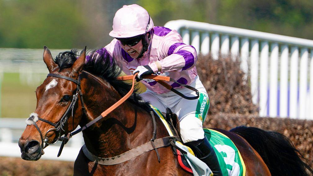 Greaneteen could go for back to back victories in the Grade 1 Celebration Chase