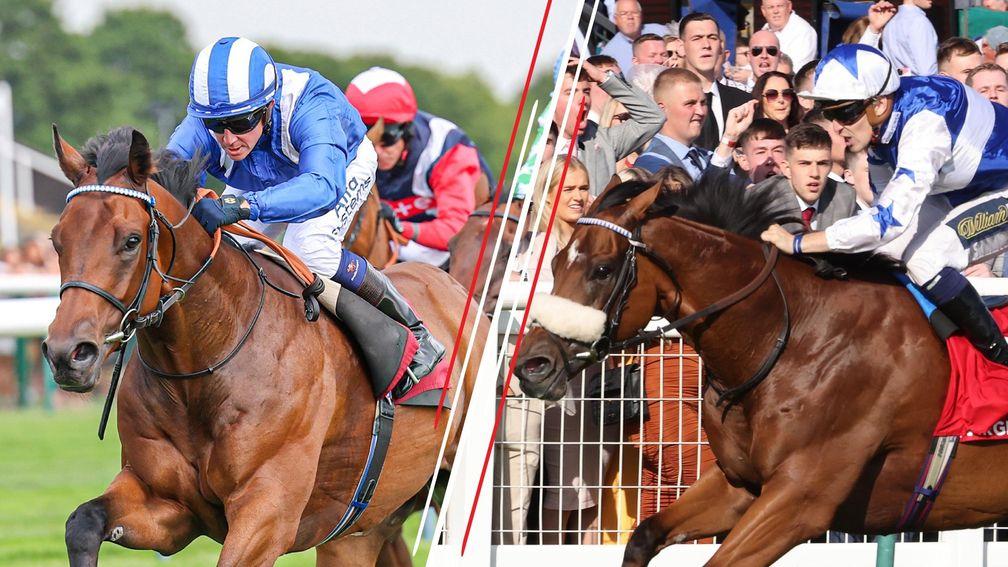 Khanjar (left) and last year's winner Bielsa both have strong claims for Ayr Gold Cup glory