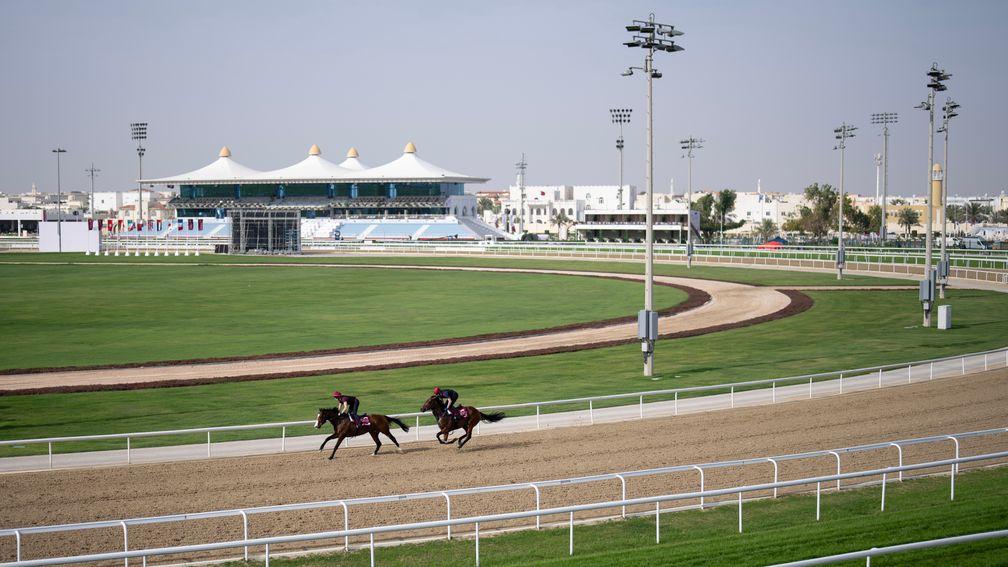 The Aidan O'Brien-trained pair Point Lonsdale (left) and Cairo exercise at Al Rayyan on Friday