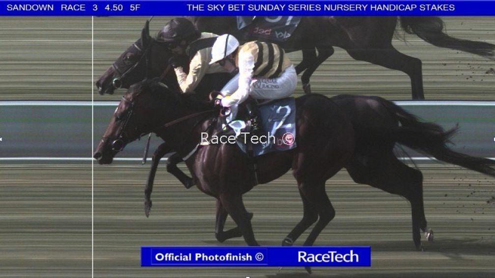 The official photo-finish print involving Whistledown (far side) and Amazonian Dream