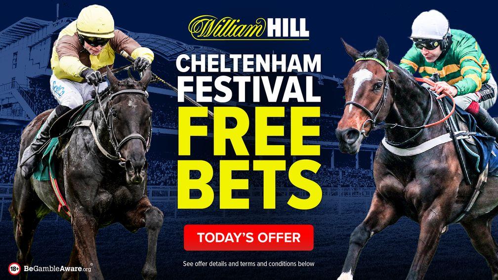 Cheltenham 2024 betting offers - William Hill