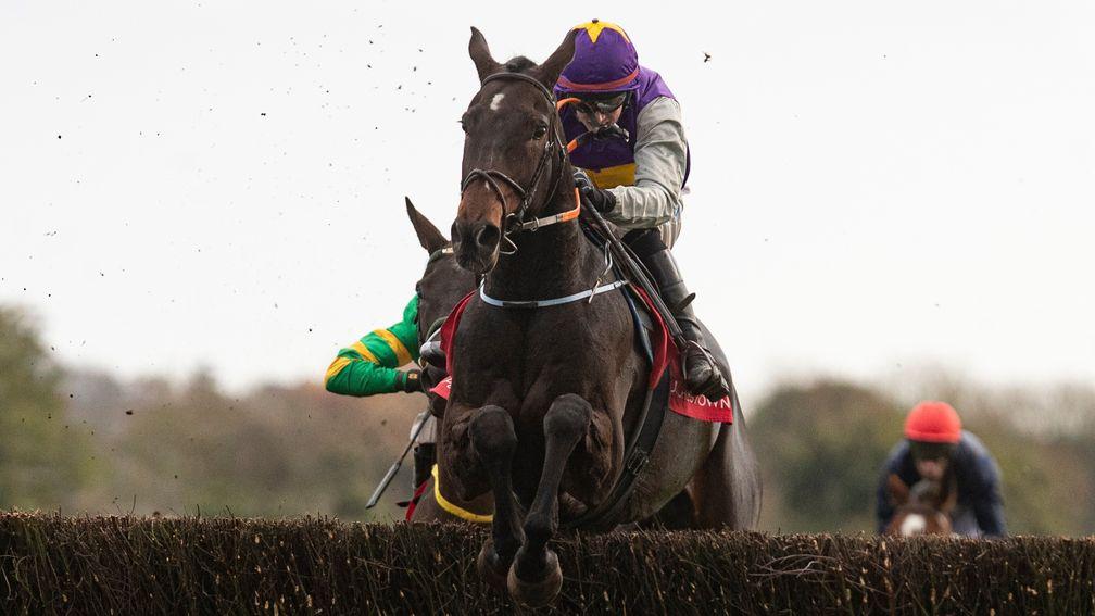Latest Exhibition: made a bright start to his chasing career at Punchestown last month