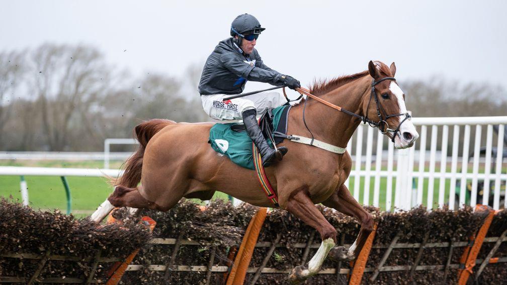 Lieutenant Rocco: holds two entries for the Cheltenham Festival