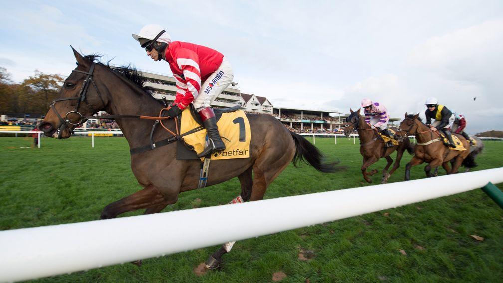 Coneygree could be in action at Cheltenham again
