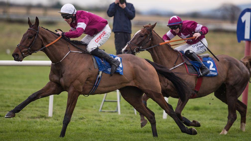 Mind's Eye bids for a second win over fences as he steps up to Grade 2 company at Punchestown