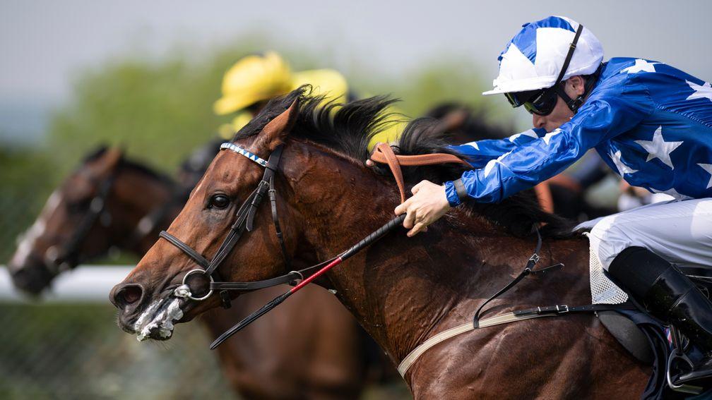 Aspetar: struck at the top level in the Preis von Europa at Cologne on Sunday