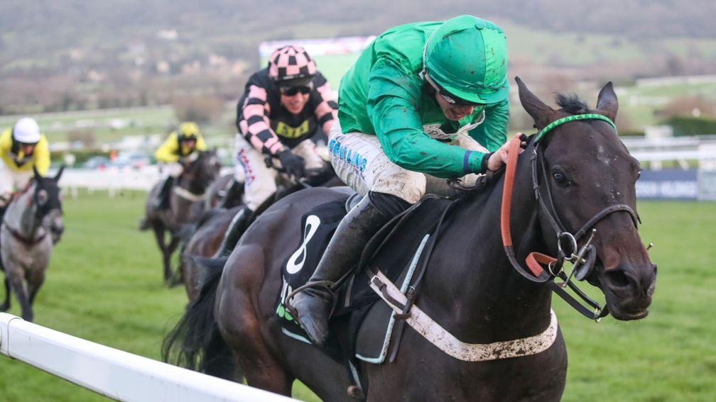 Call Me Lord: set for a second start over fences at Hereford