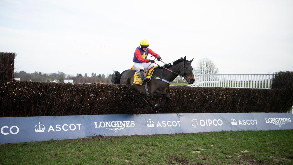 Dashel Drasher clears the last in the Grade 1 Ascot Chase