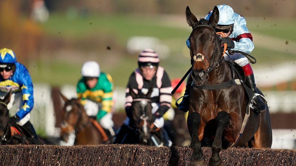 Lalor measures another fence perfectly on his way to victory at Cheltenham