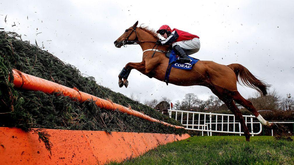 Simply Ned and Mark Walsh put in another fine round of jumping at Leopardstown on Saturday but ultimately could not match the pace of Min away from the last