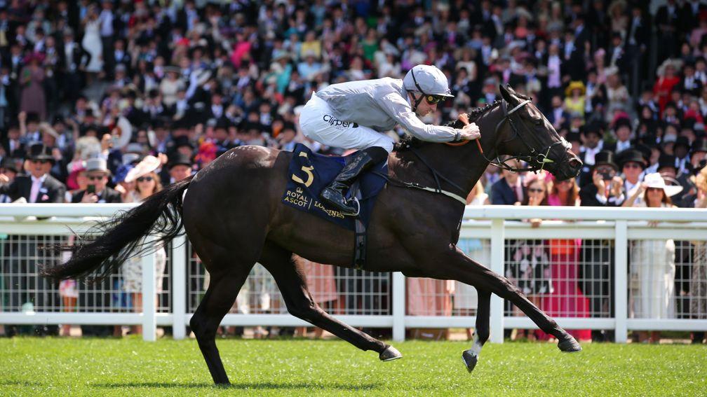ASCOT, ENGLAND - JUNE 15: Dramatised ridden by Daniel Tudhope wins The Queen Mary Stakes during Day Two of Royal Ascot 2022 at Ascot Racecourse on June 15, 2022 in Ascot, England. (Photo by Alex Livesey/Getty Images)