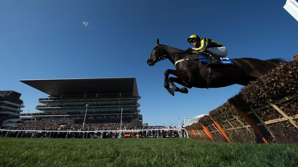 Willoughby Court: on his way to victory in the Neptune Novices’ Hurdle at the 2017 Cheltenham Festival