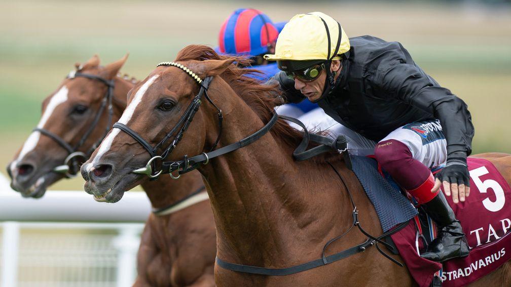 Stradivarius: warms up for the Arc by tackling four rivals in the Group 2 Prix Foy