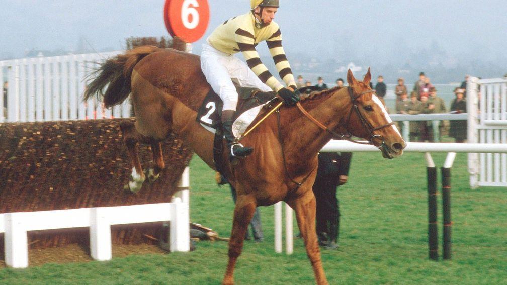 Badsworth Boy and Robert Earnshaw on the way to their second Champion Chase triumph in 1984